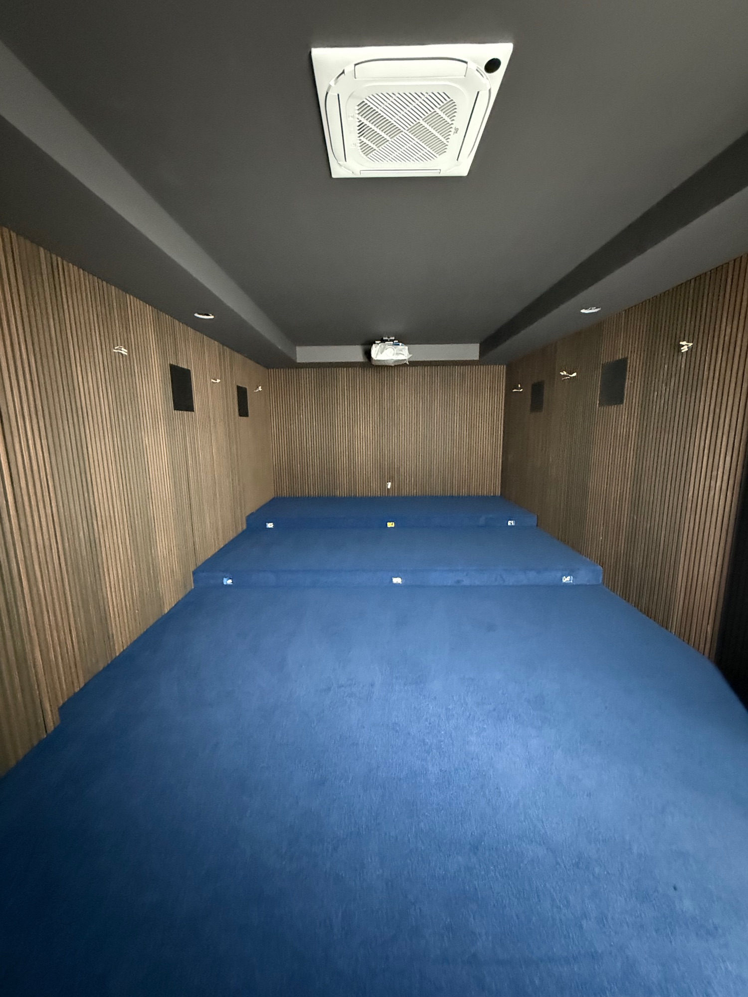 Home Theater and Slat Panels