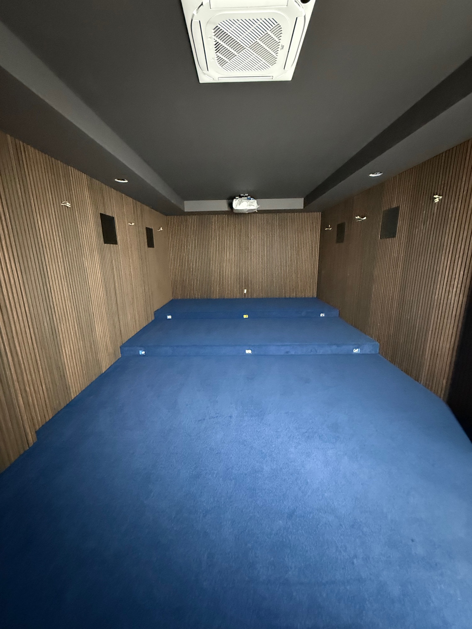 Home Theater and Slat Panels