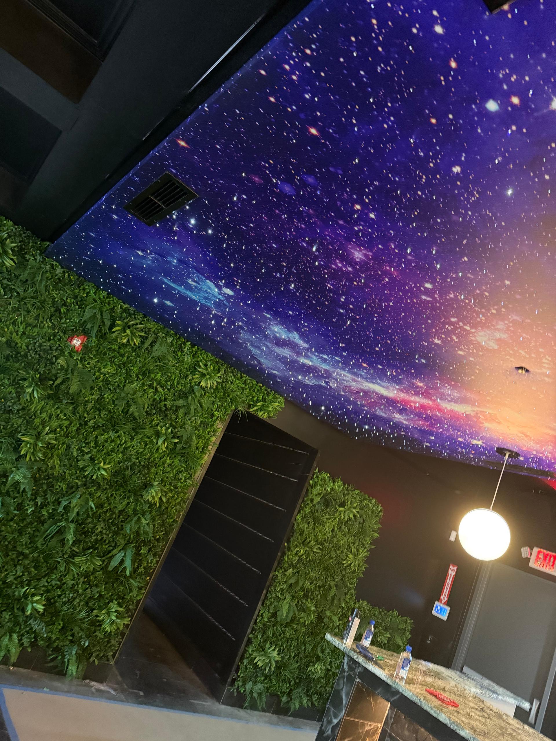 5 Rooms in Your Atlanta Home That Would Look Amazing with a Starlight Ceiling