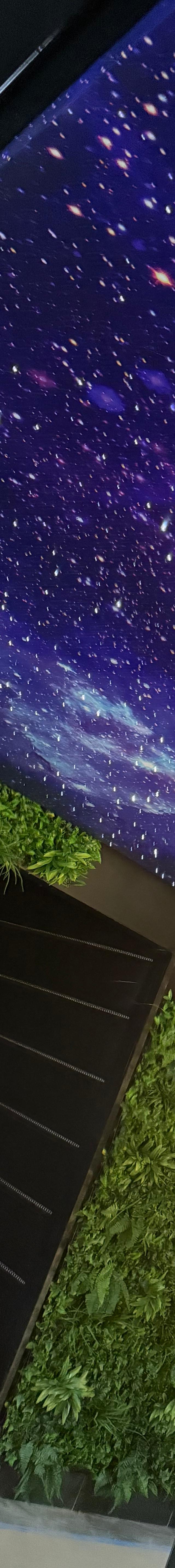 5 Rooms in Your Atlanta Home That Would Look Amazing with a Starlight Ceiling