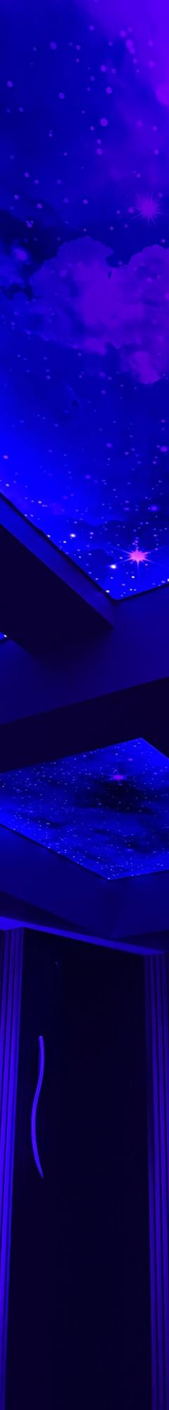 Printed Stretch Ceiling 