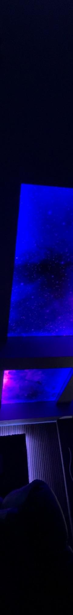 Printed Stretch Ceiling 