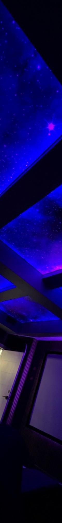 Printed Stretch Ceiling 