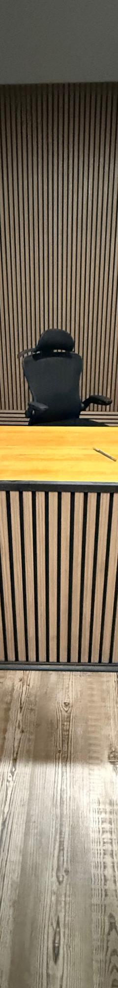 Wood Slat Panels 
