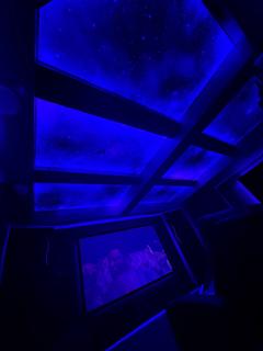 Printed Stretch Ceiling 