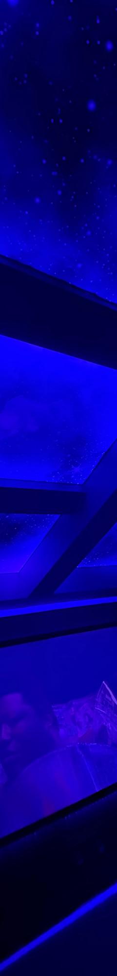 Printed Stretch Ceiling 